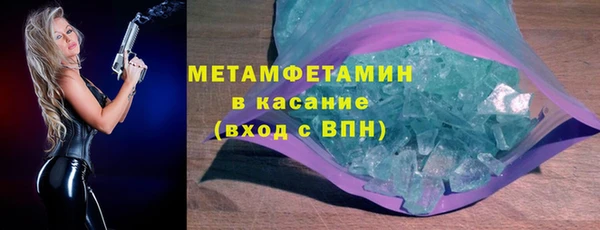 сатива Балахна