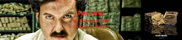 сатива Балахна